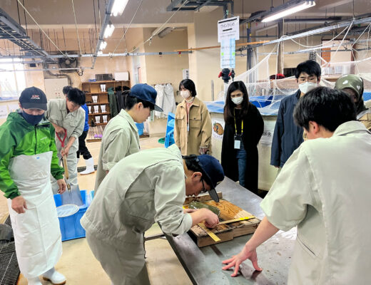 研究開発課題5　新潟県立海洋高校で酒かすを給餌したヒラメを出荷しました