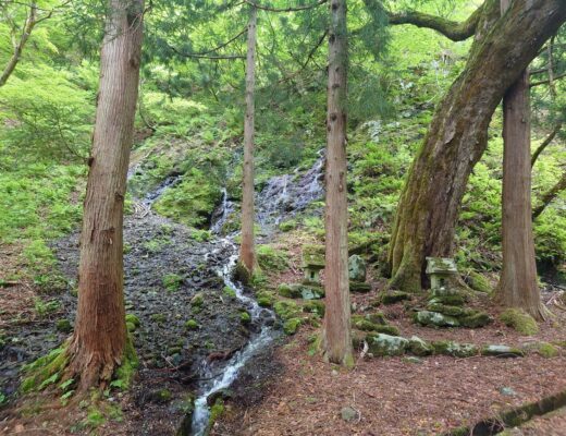 Bio Japanに、COI-NEXT長岡拠点 ✕ 秋田拠点が共同出展します！！